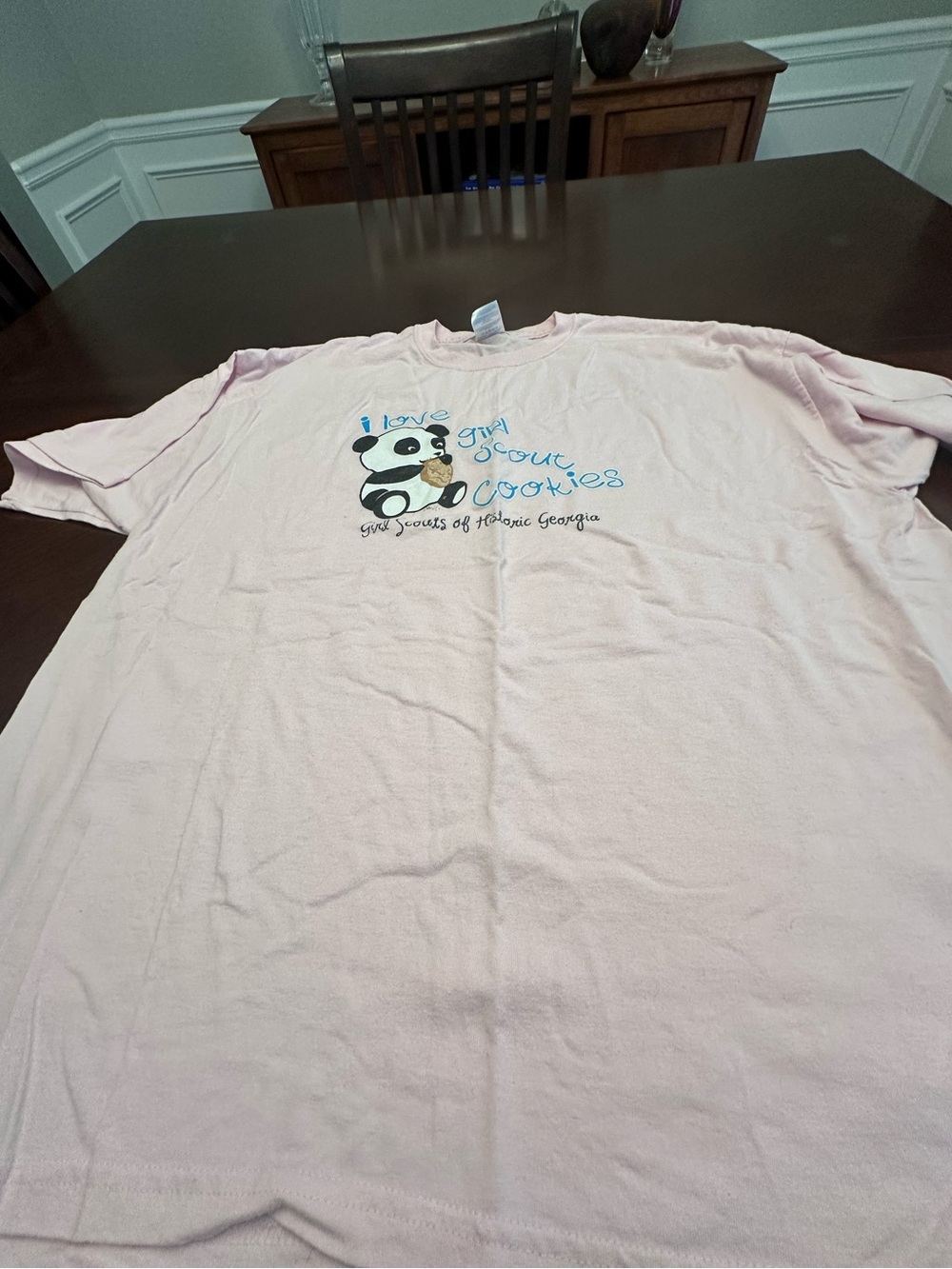 Vintage Girl Scouts Historic Georgia Panda Cookie Graphic T-Shirt